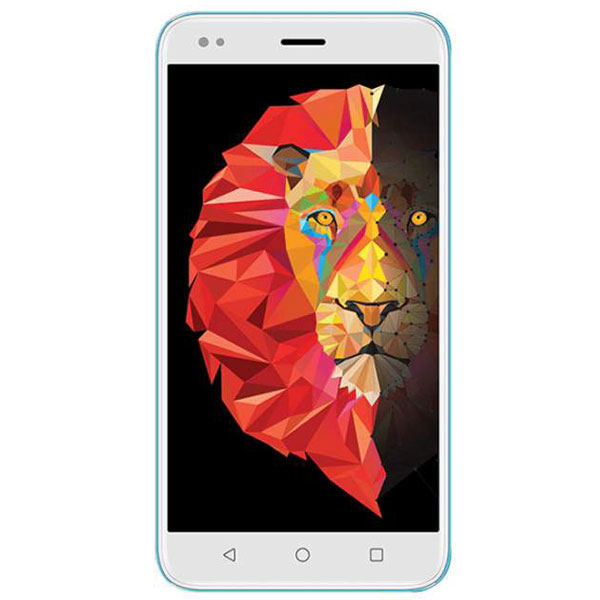 Intex Lions 6